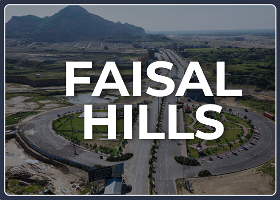 Faisal Hills Mission